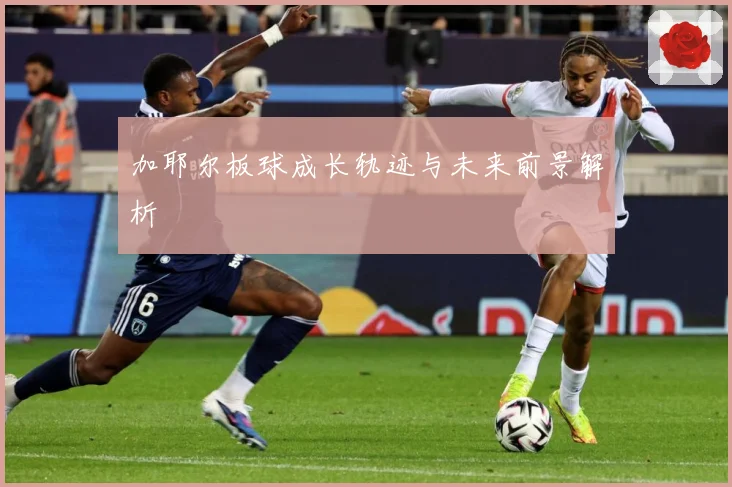 加耶尔板球成长轨迹与未来前景解析